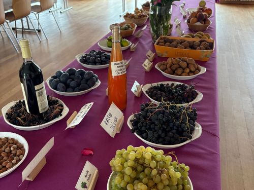 Succès pour l’exposition arboricole à Schweyen