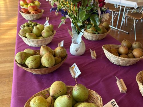 Une belle exposition de fruits et légumes de saison à Schweyen