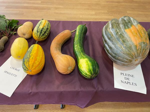 Exposition Arboricole (2022)